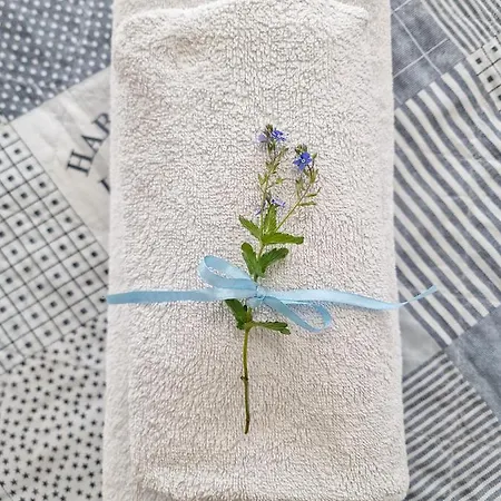 Szafranowka منزل للإقامة *