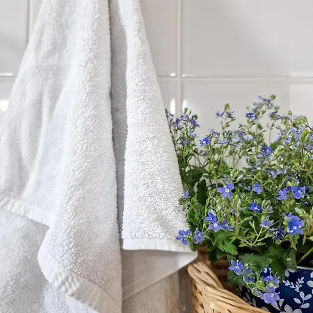 Szafranowka منزل للإقامة *