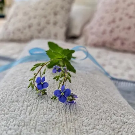 منزل للإقامة Szafranowka Władysławowo