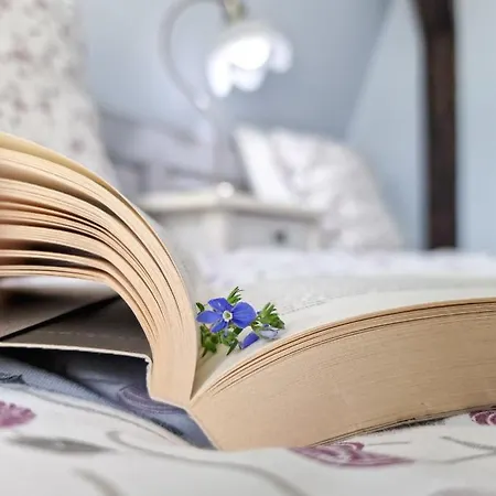 Homestay Szafranowka *