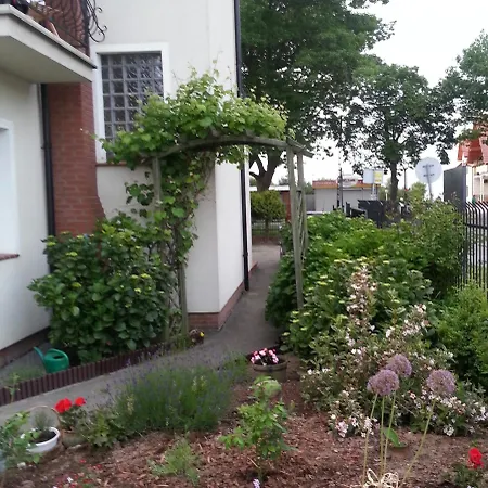 Szafranowka Wladyslawowo