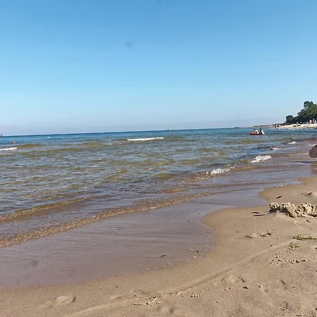 Szafranowka Władysławowo