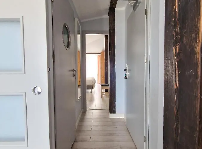 Szafranowka Władysławowo