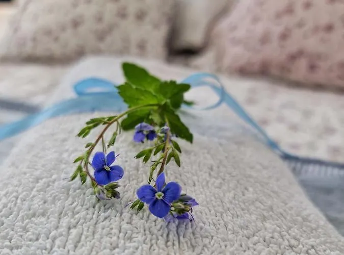 Rum i privatbostad Szafranowka Władysławowo