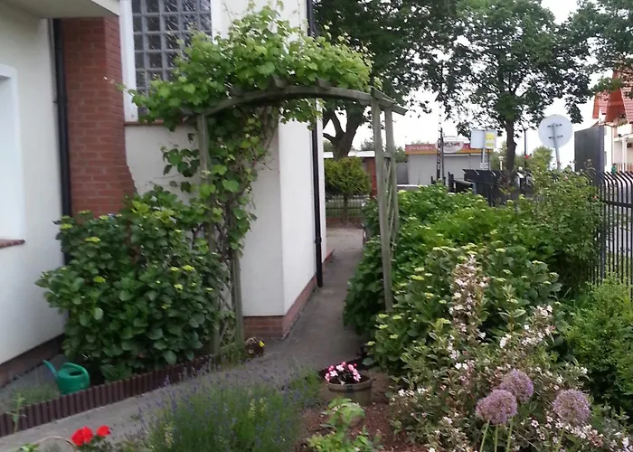 Szafranowka Władysławowo