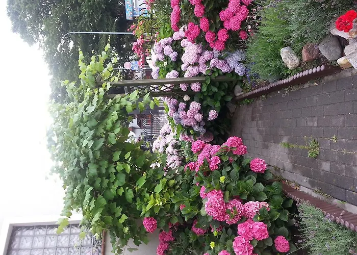 Szafranowka * Władysławowo