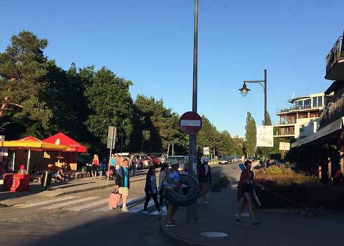 Szafranowka * Władysławowo