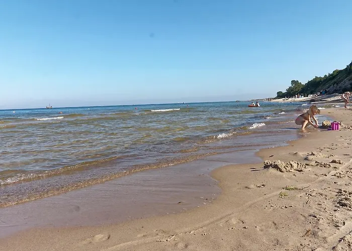 Szafranowka Władysławowo